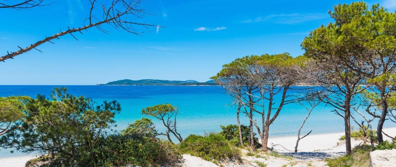 A Casa Di Mamma Appartement Alghero Buitenkant foto